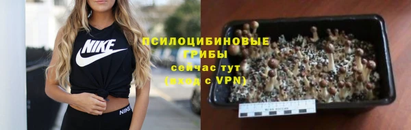 гидра Гусев