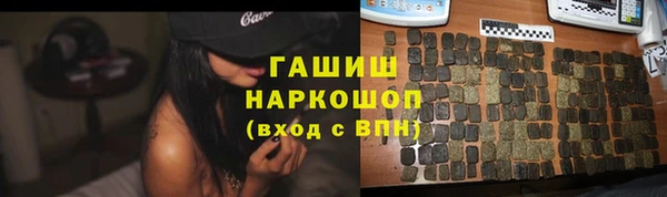 гидра Гусев