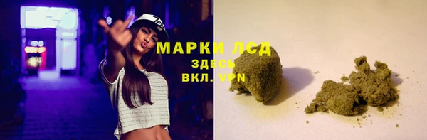 гидра Гусев