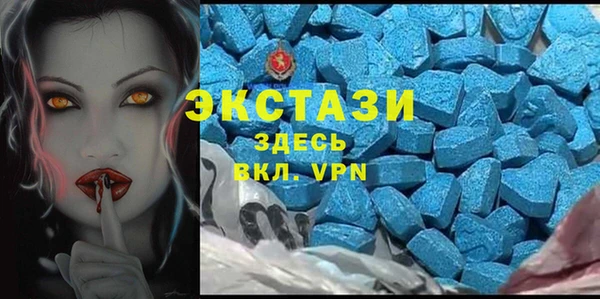 гидра Гусев