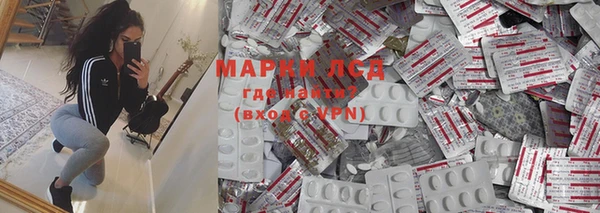 гидра Гусев