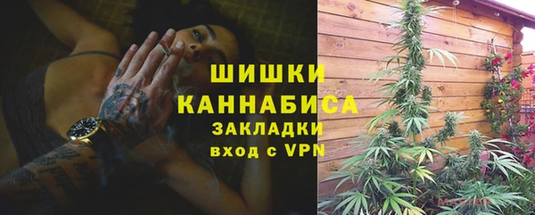 гидра Гусев