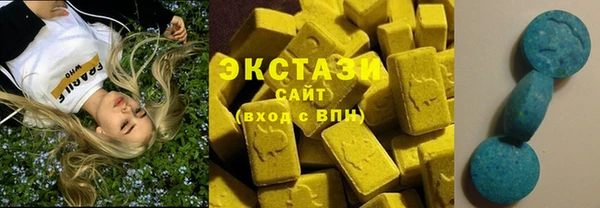 гидра Гусев